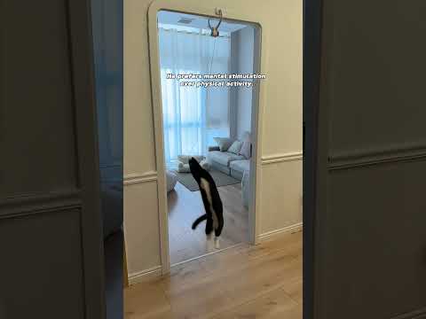 Every toy has its cycle. When stops playing, put it away—later, he’ll fall in love with it again.