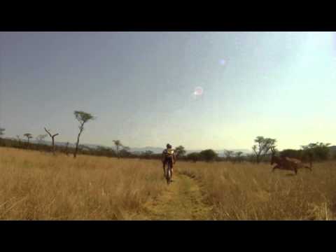 #BUCKNORRIS 1 Year Anniversary of Mountain Biker gets taken out by Antelope