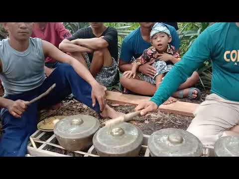 acara gendang adat budaya dayak kalimantan barat.