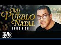 Mi Pueblo Natal, Grupo Niche - Video