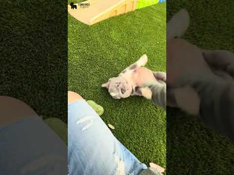 Video 1
