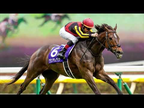 12月來贏 金鎗六十？騎師話佢冇對手【2021維多利亞一哩】Hope Gran Alegria will come to HK to play with G60[2021 Victoria Mile]