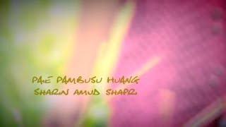 Download lagu Paie Pambusu Huang [ ]~ Sharin Amud Shapri mp3