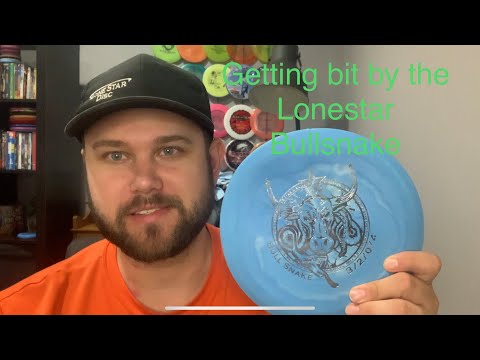 Biting Chains With the Bullsnake