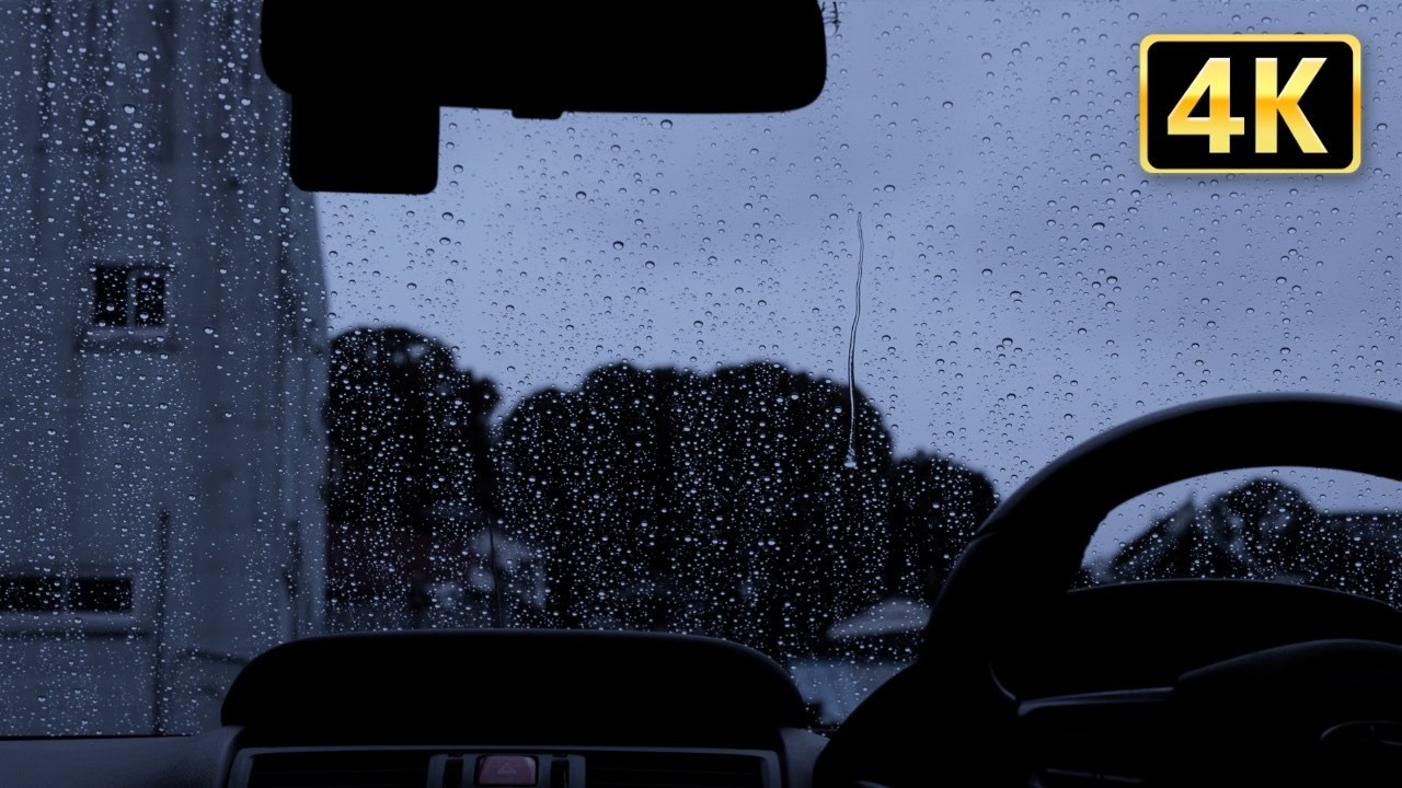 【睡眠用】車の中の小雨の音でリラックスする 3時間