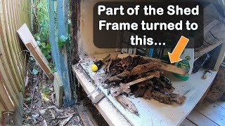 Rotten Shed Frame Repair