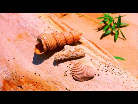 Chico César - Pedra Da Responsa