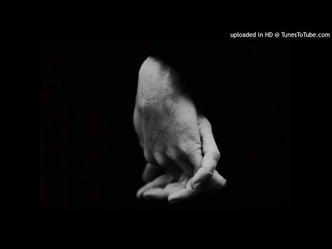 Amphibious Zoo Music - Never Leave You