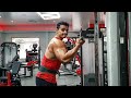 Bodybuilding arms workout - 67 Days Out