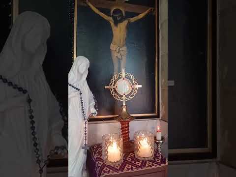 Adoracion Al Santisimo Sagramento del Altar con el Padre Fabian Esteban Oliva. 21/08/26
