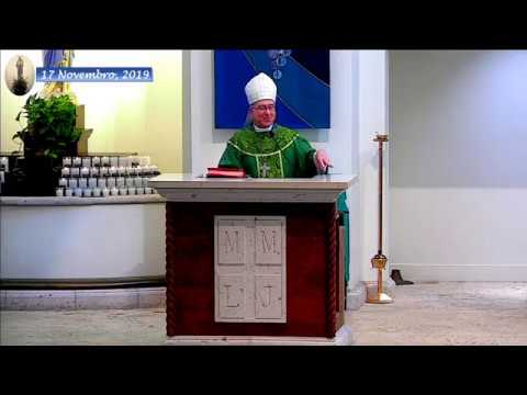 Live Portuguese Mass - 33rd Sunday Of Ordinary Time