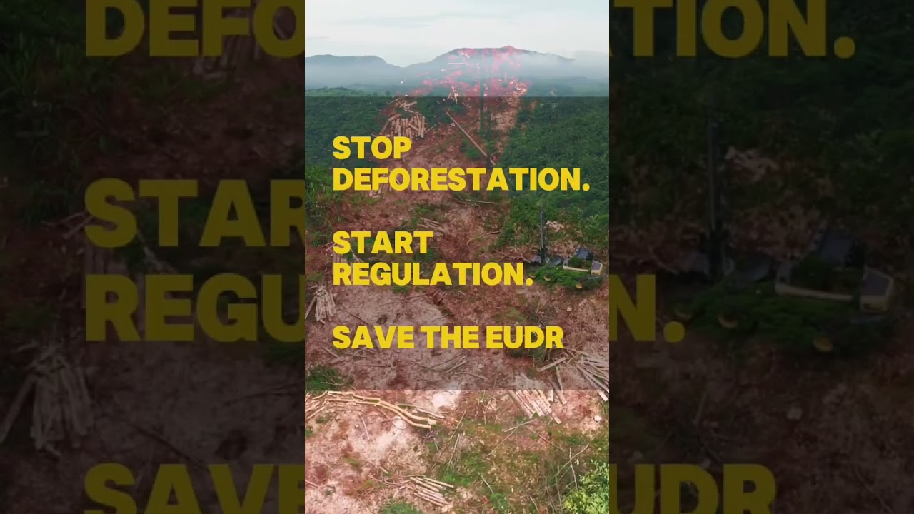 Stop deforestation. Start regulation. Save the EUDR. 🌍🌱