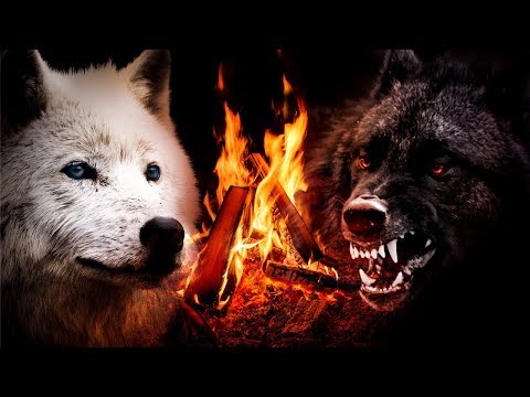 download lagu mp3 mp4 La Légende Du Loup Blanc, download lagu La Légende Du Loup Blanc gratis, unduh video klip La Légende Du Loup Blanc