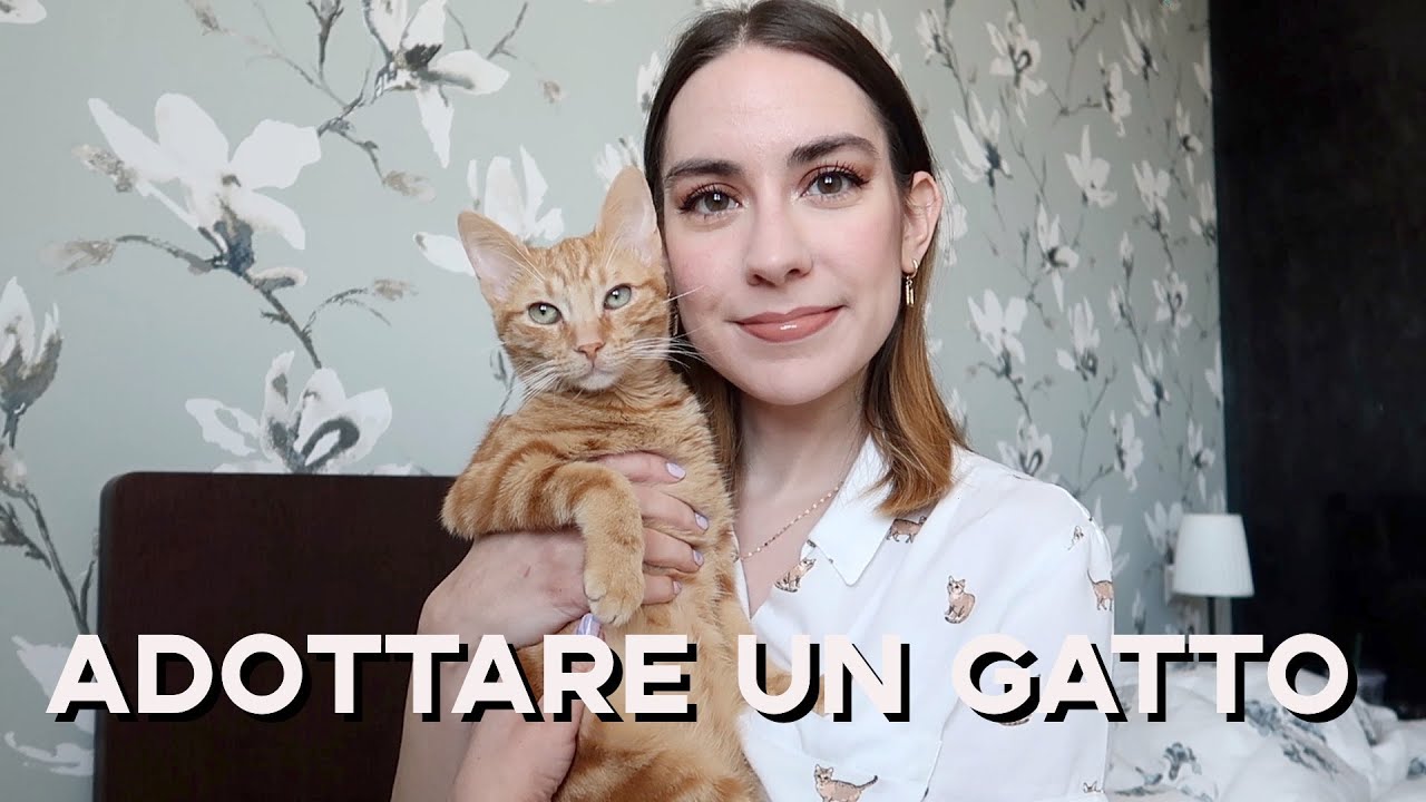 Watch Now Cosa avrei voluto sapere prima di adottare un gatto 🐱 Cosa avrei voluto sapere prima di adottare un gatto 🐱