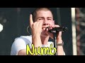 Nick Jonas - Numb Live At Made In America 2015