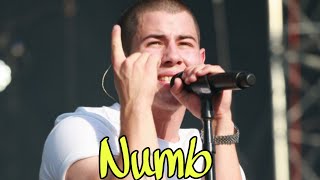 Nick Jonas - Numb Live At Made In America 2015