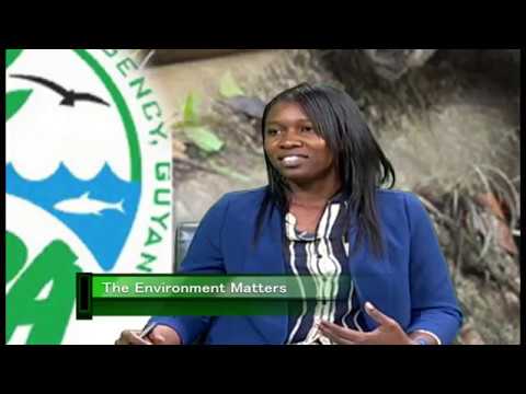 The Environmental Matters April 2019 - EU FLEGT