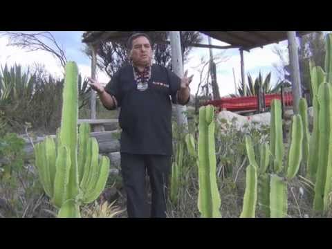 CARNAVAL AYACUCHANO 2016 MIX - LOS HUAMANGUINOS