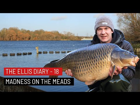 THE ELLIS DIARY - MADNESS ON THE MEADS!
