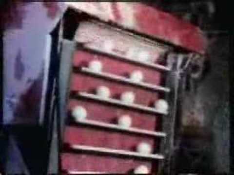 Sesame Street - Which Comes First (The Chicken or the Egg)?