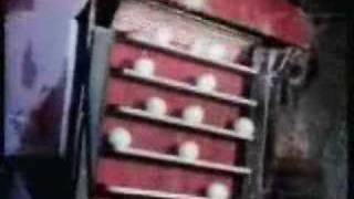 Sesame Street - Which Comes First (The Chicken or the Egg)?