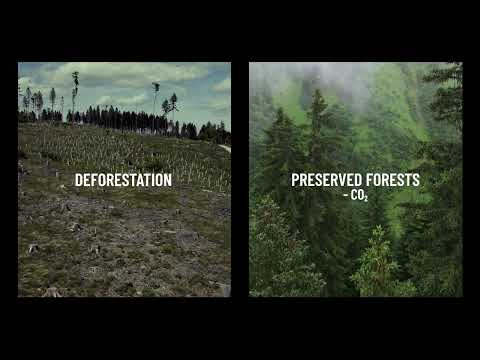  Saviola | Why should you choose Ecological Panel®?