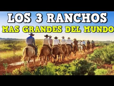 Top 3 - The largest ranches in the world