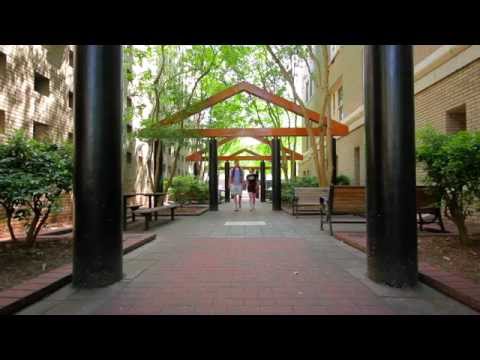 Welcome to The Rook and Pawn