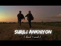 Surili Aakhiyon Wale Slowed Reverb Prince Vibes