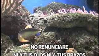 Lolita - No renunciare (Karaoke)