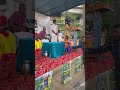 Sri Krishna Jayanti Celebrations Palakkad