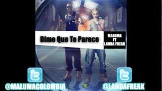 Dime Que Te Parece - MALUMA Ft Landa Freak