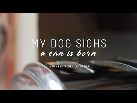 My Dog Sighs - A Can is Born
