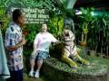 Stupid Man Pets Angry Tiger