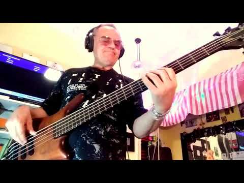 Steve Miller Band - Abracadabra  ( Bass cover with Warwick Thumb BO 5 )