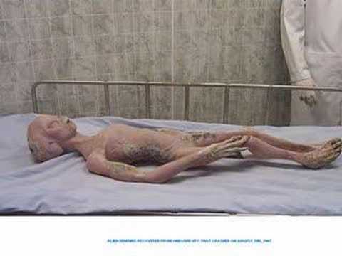 Opinion deelishis nude shower photos agree with Deelishis nude shower photos opinion you