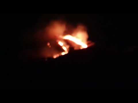 NEWS BUZAU   Incendiu vegetatie uscata Beceni   12 02 2022