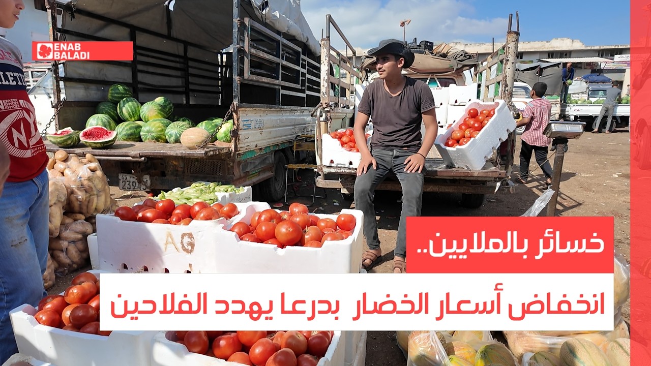 خسائر بالملايين.. انخفاض أسعار الخضار بدرعا يهدد الفلاحين