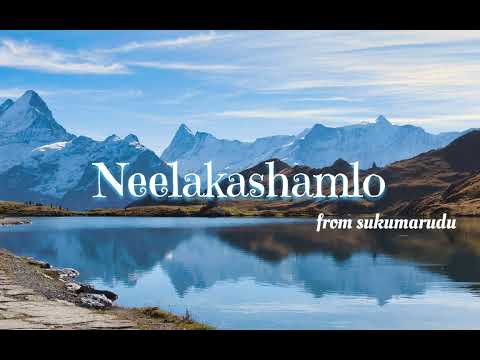 Neelakashamlo Audio Song | Sukumarudu Movie songs | 8D Audio || Moving Doll