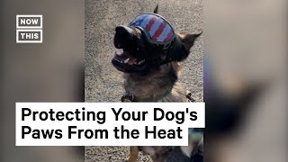 Officer Shares PSA to Protect Dogs Feet From Heat