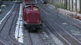 Trein in de tuin  27 10 2024