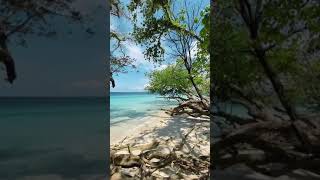 Download lagu LIBURAN DI PANTAI YANG MASIH SEPI BANGET PANTAI MALUKU mp3 Download lagu LIBURAN DI PANTAI YANG MASIH SEPI BANGET PANTAI MALUKU mp3