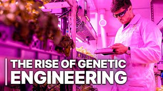The Rise Of Genetic Engineering | Gene-Editing Technology | Science Documentary