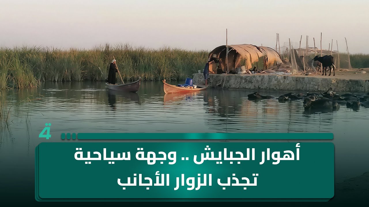 فيديو | أهوار الجبايش .. وجهة سياحية تجذب الزوار الأجانب