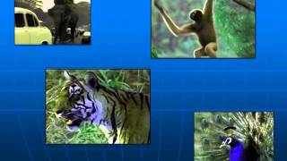 India Powerpoint