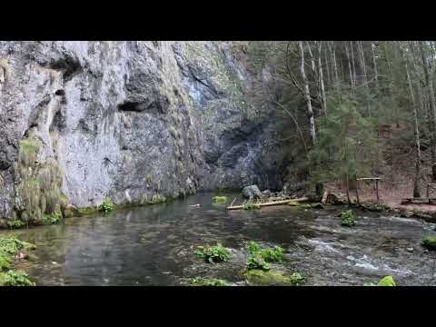 Izbucul Tauz - Parcul National Apuseni.