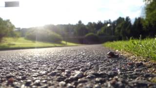 The Solid Doctor - Faustian Bargain