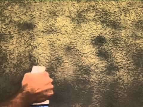 Video InstaGone Multi Purpose Stain Remover Demonstration