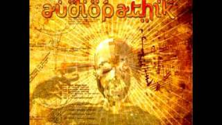 Audiopathik - The Power Stomp
