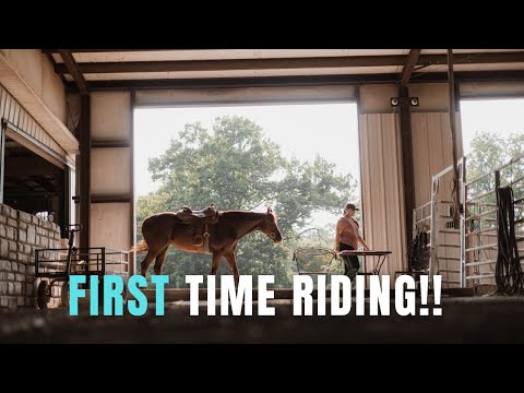 Riding a New Horse for the First Time!!